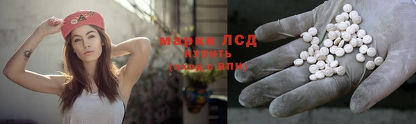 сатива Михайловск