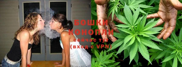 трава Абаза