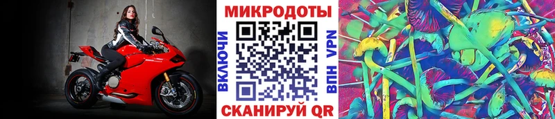 Псилоцибиновые грибы Psilocybe  Щёкино 